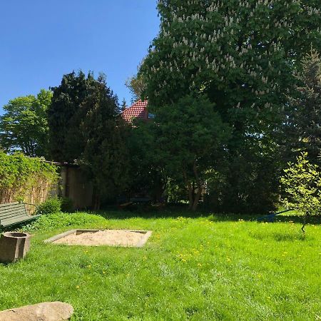 Apartament Warecka Apartman Malbork Kültér fotó
